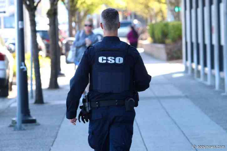 Abbotsford-Mission crimes on the rise, but becoming less severe