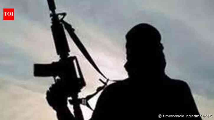 2,500 detained, homes of 2 LeT terrorists razed in Kashmir after cop killing