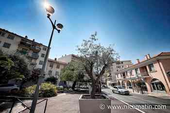 Après notre enquête sur la canicule, le maire promet de planter 6.000 arbres en 12 ans et annonce d’autres mesures pour lutter contre la chaleur à Saint-Laurent-du-Var