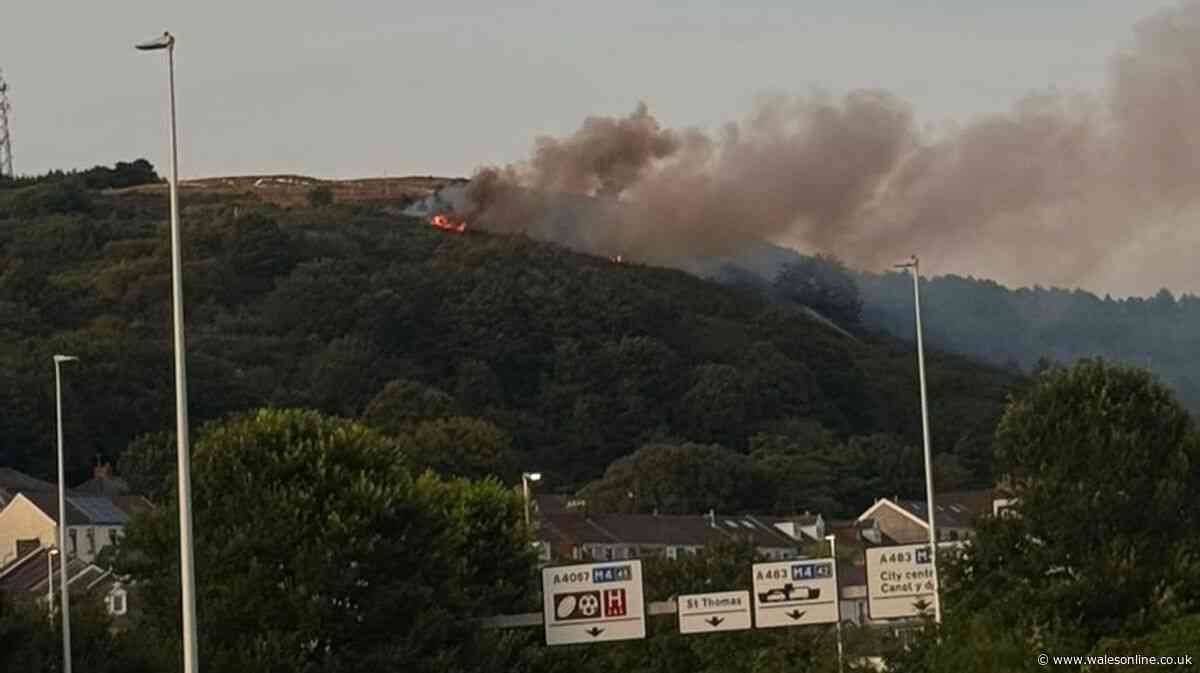 Smoke billows over Swansea as another grass fire breaks out close to homes