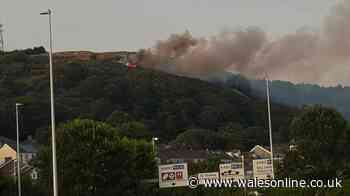 Smoke billows over Swansea as another grass fire breaks out close to homes