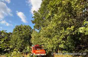 FW-RS: Vegetationsbrand Papenberg Feuerwehr verhindert weitere Ausbreitung