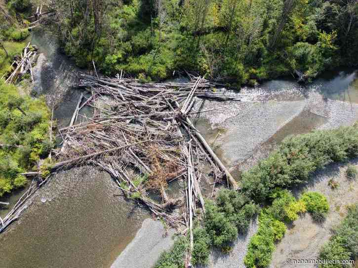 Dangerous logjam prompts safety warning on Cowichan River