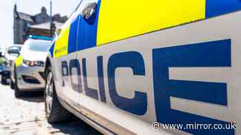 Man dead and three others rushed to hospital after 'explosion' at Bedford industrial estate