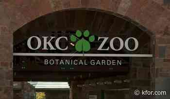 OKC Zoo adjusts hours following extreme heat