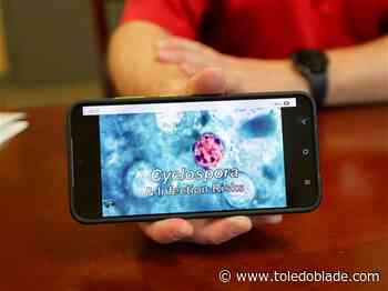 Cyclosporiasis cases continue to rise across northwest Ohio