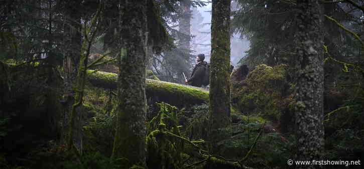 Enchanting Trailer for 'Whispers in the Woods' Doc About Wild Forests