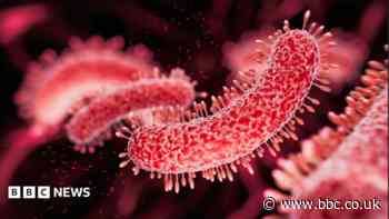 Woman, 91, died of Legionnaires', inquest told