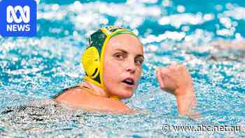 History beckons as Stingers, Sharks surge into water polo semifinals