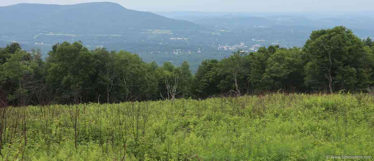 Terns: Looking for adventure? These short Vermont hikes offer big rewards