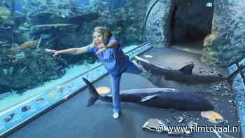 Helemaal niets te doen vandaag? Kijk de film 'Aquarium of the Dead' helemaal gratis op YouTube