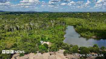 Brazil's Amazon sees sharp decline in size of area burned in 2025