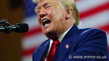 Donald Trump slaps UK with new 10% import tariff after Supreme Court defeat