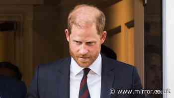 Prince Harry must wait on security decision as officials deal with protecting nine ex-Prime Ministers