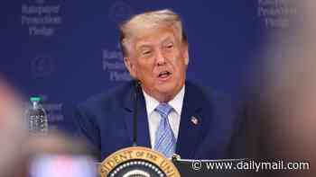 Australia hit with 12.5 per cent tariff by Donald Trump - as US plans levies on dozens of trade partners