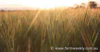 What China needs from Australian barley to meet malting and brewing markets