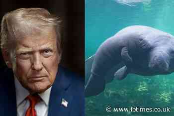 Trump Administration Weakens Endangered Species Protections by Rolling Back Habitat Rules