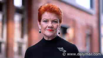 Pauline Hanson extends olive branch to Angus Taylor in challenge to 'unite' and block suspected Aussie ISIS fighters from returning home