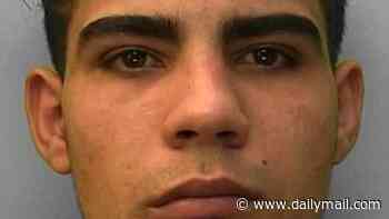 Failed asylum seeker who raped a 14-year-old schoolgirl he met online says he shouldn't be deported back to Egypt 'because he's bisexual'