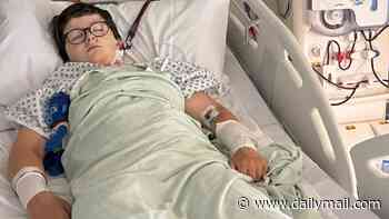 My son nearly died when 'Egypt belly' turned out to be E.Coli: British family's urgent warning after ten-year-old's stomach bug ended in kidney failure 