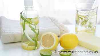 10 kitchen staples that double as natural cleaning products