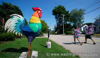Giant metal roosters spread autism acceptance in Maine after town zoning spat
