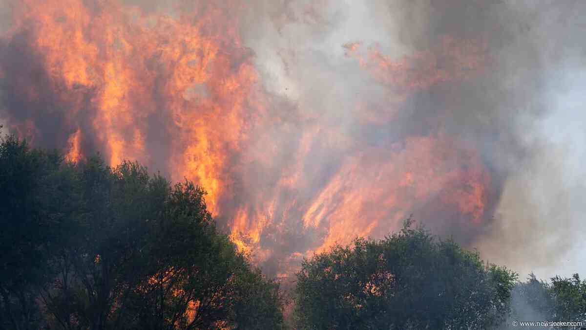 Spanje roept noodtoestand uit in regio Madrid vanwege bosbranden