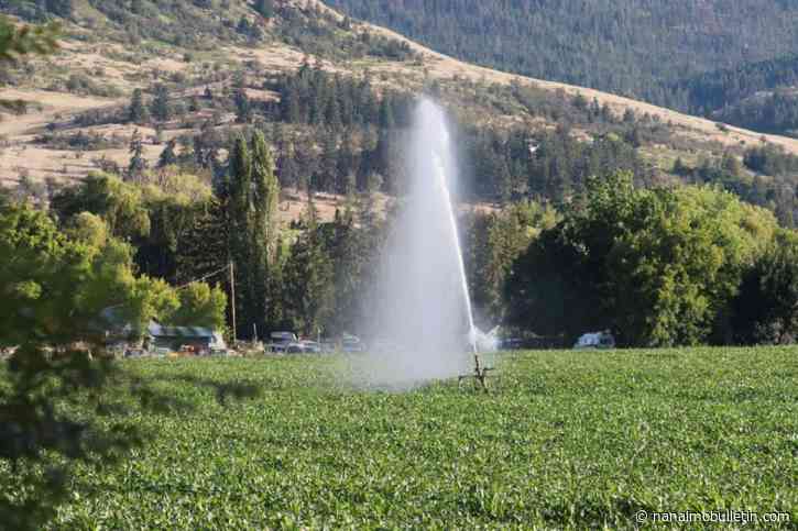 BC Fruit Growers seek support as Vernon water dries up
