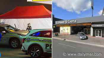 Man dies after resisting arrest outside popular pub in Adelaide after damaging cars