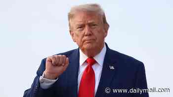 Donald Trump will 'tolerate' Andy Burnham... for now: White House figures predict Britain could get ANOTHER Prime Minister before end of US President's term