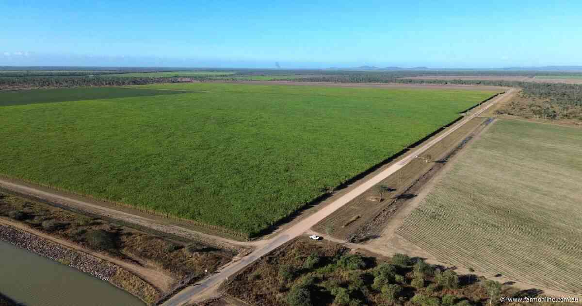 Upper Haughton Farms presents as a highly efficient irrigation opportunity