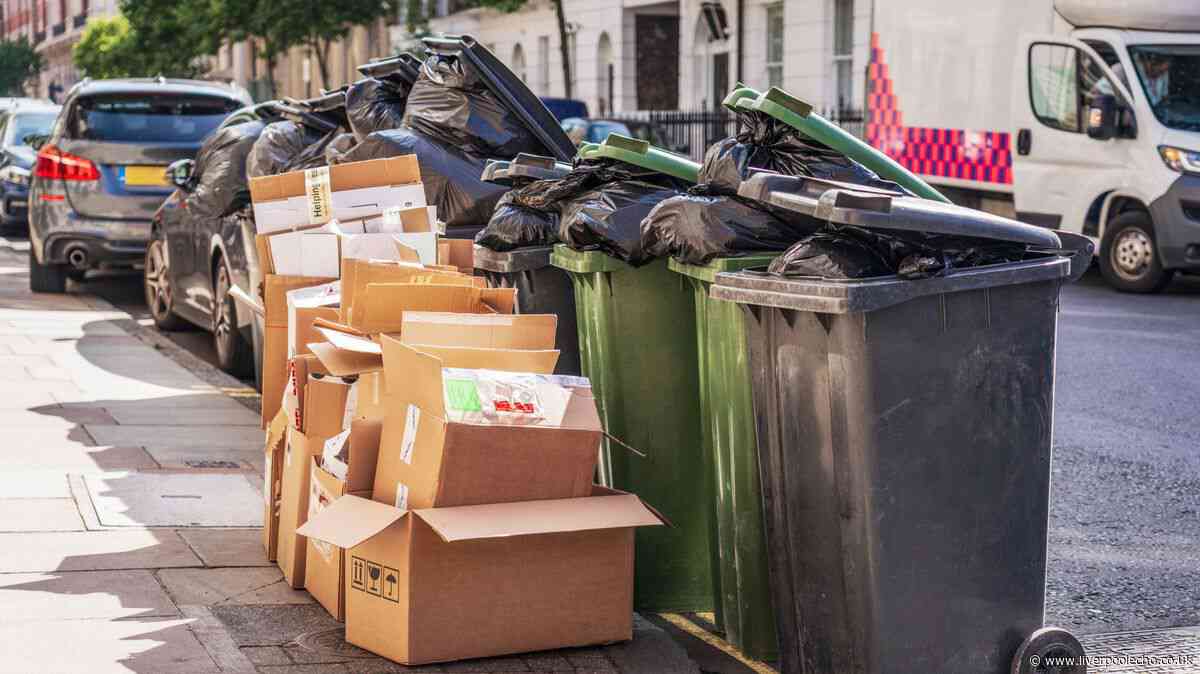Binman settles debate over putting excess rubbish next to wheelie bin