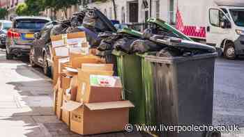 Binman settles debate over putting excess rubbish next to wheelie bin