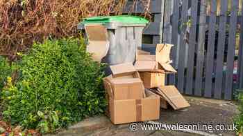 Can you put excess rubbish next to your wheelie bin? Binman explains the rules
