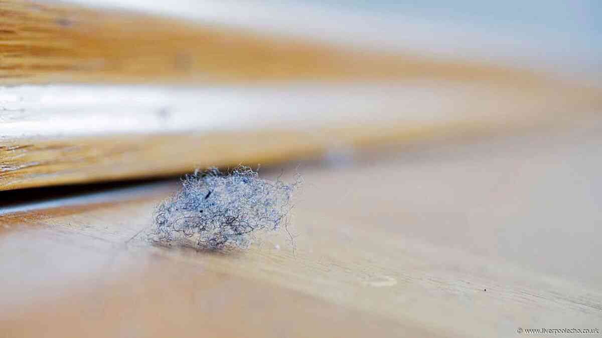'How I keep my skirting boards and windows dust free thanks to £2 everyday item'