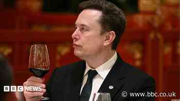 'Let's enjoy the ride' says Elon Musk, as AI fears mount
