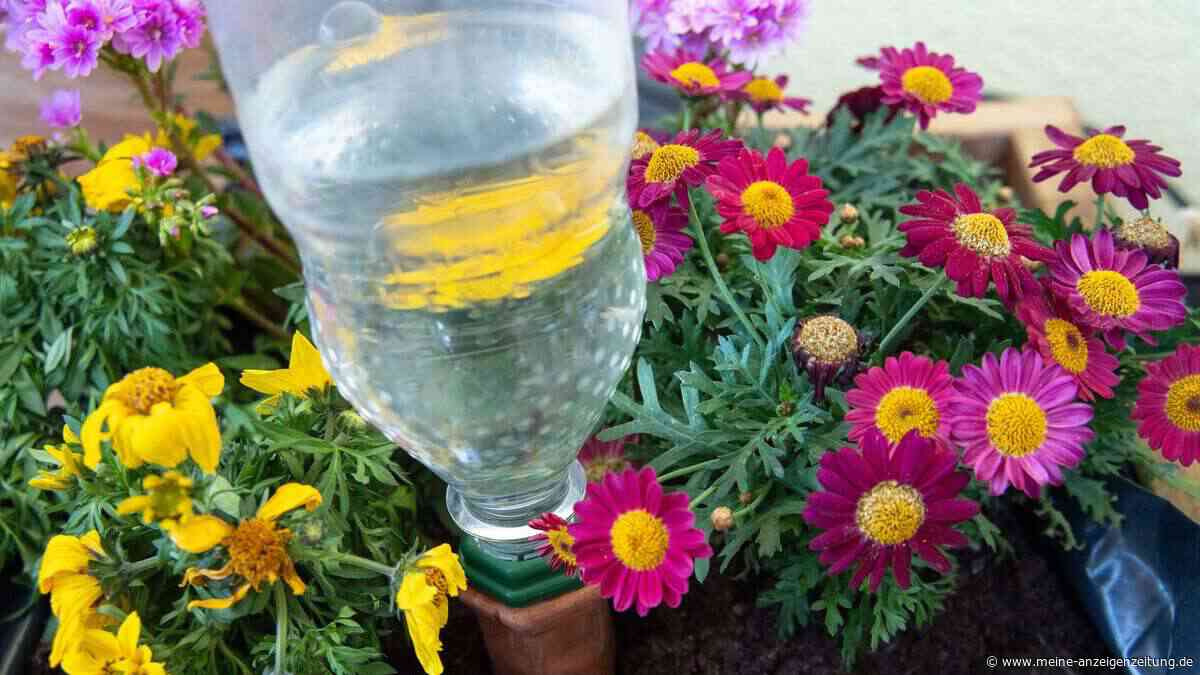 So bleibt der Garten im Urlaub gut versorgt