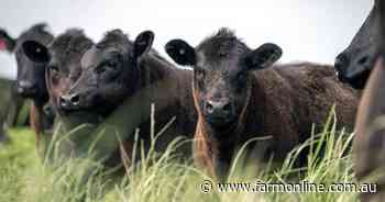 Buyers have a choice with pair of SA cattle farms listed for about $2m each