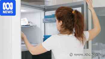 Why it's worth cleaning your forgotten freezer and how to do it simply