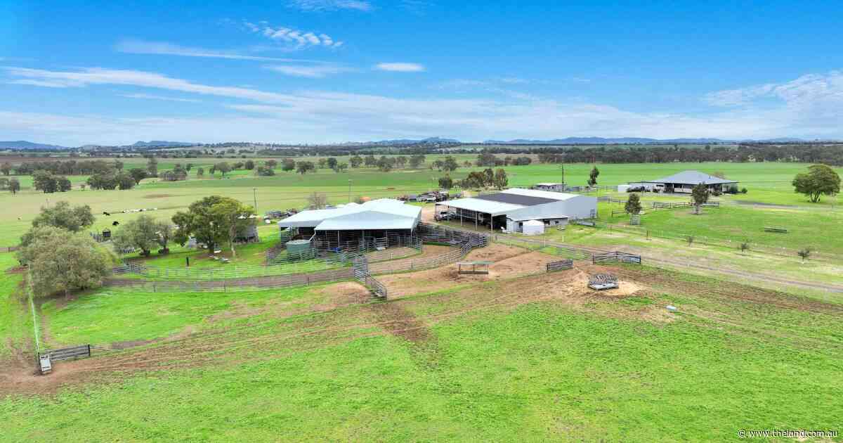 Loomberah Park a premium property with first class improvements | Photos