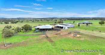 Loomberah Park a premium property with first class improvements | Photos