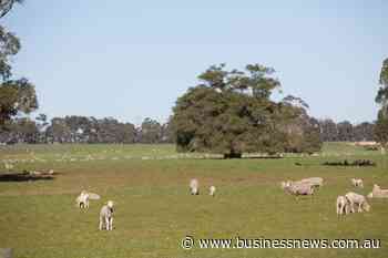 Dardanup Butchering Company gets approval for $55m Picton abattoir expansion