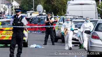 Cardiff born killer who murdered three little girls transferred to Broadmoor psychiatric hospital