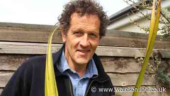 Now is the perfect time to harvest two key crops, according to Monty Don
