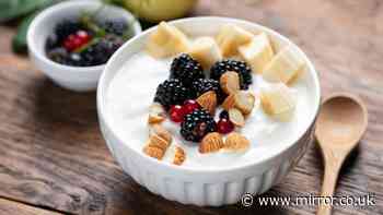 Which is actually better for your gut Greek yoghurt or natural yoghurt?