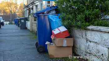'I'm a binman — you can only leave rubbish beside bin if you do one check first'