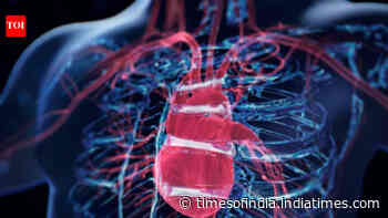 Scientists discover a surprising 'brain' hidden inside the heart