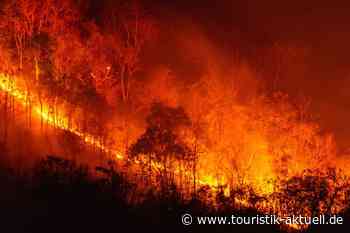 Waldbrände und Hitze: Feuer in Spanien und Frankreich wüten weiter
