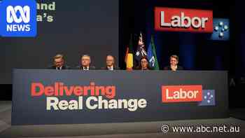 Labor platform commits to telehealth access to voluntary assisted dying — as it happened