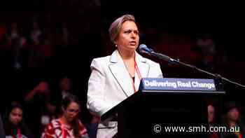 Labor promises conscience vote in debate over telehealth for assisted dying